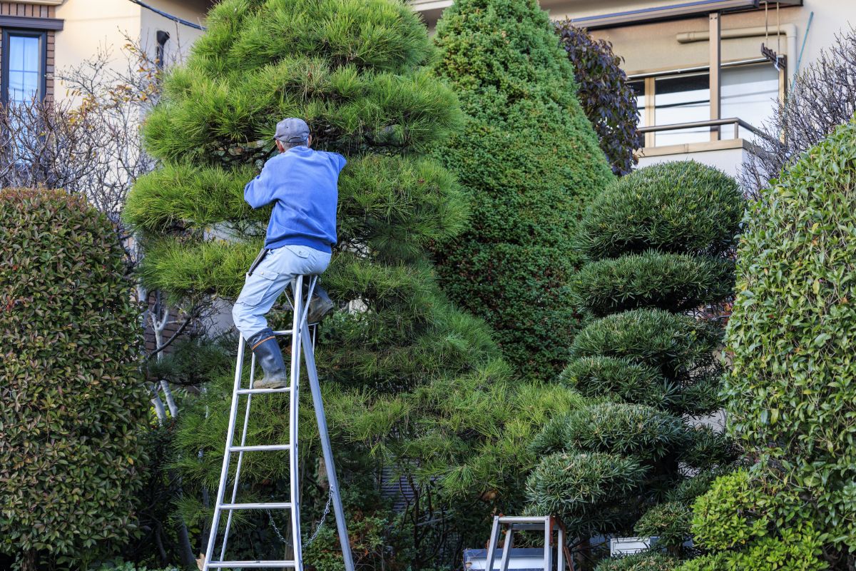 ワンストップサポート